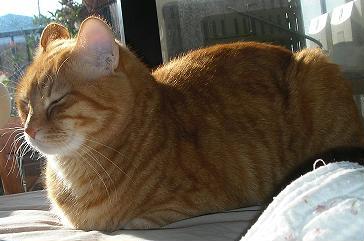 相談を聞いてる