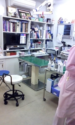 病院内を観察する ララ