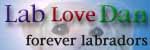 lab love Dan