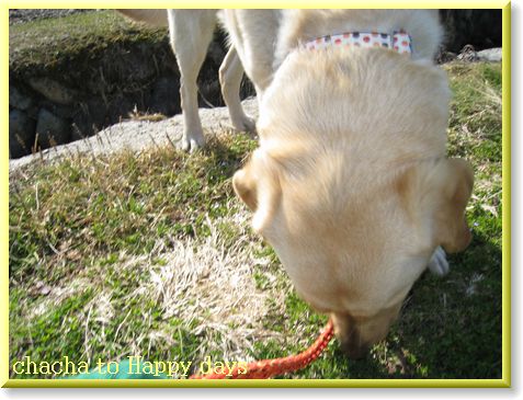 くんくん・・・春の匂い？