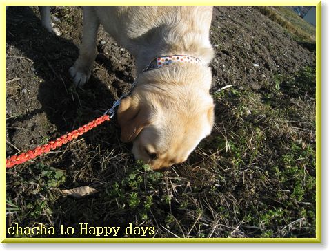 ここにも穴が・・・春がいる？