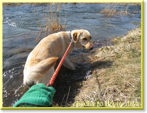 川に入りました！