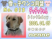 雪っ子わんこ同盟