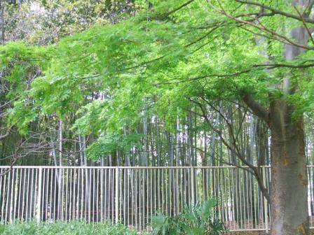 DSCF5764.JPG