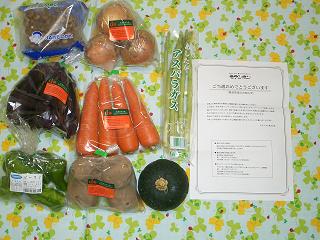 大地を守る会の野菜セット.jpg