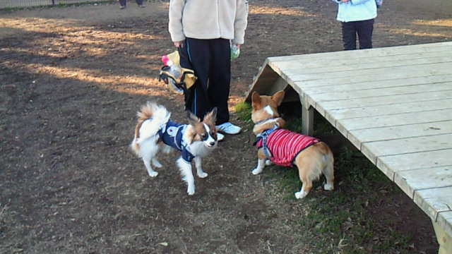 2009-01-04 20:11:33