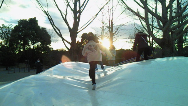 昭和記念公園