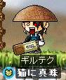 恐いっす