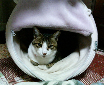 2006102522160002.jpg