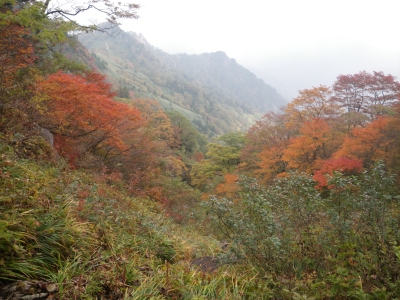 石鎚山20111009 107.jpg