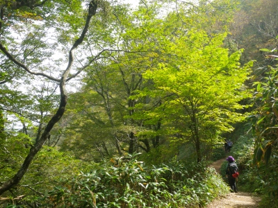 石鎚山20111009 133.jpg