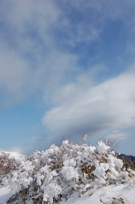 寒風山20120122 209.jpg