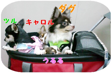 家族旅行・伊豆編・携帯 048.jpg