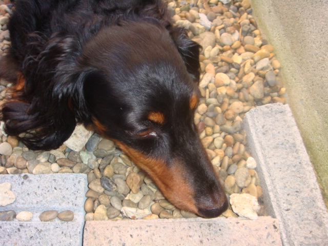 DSC01754.JPG