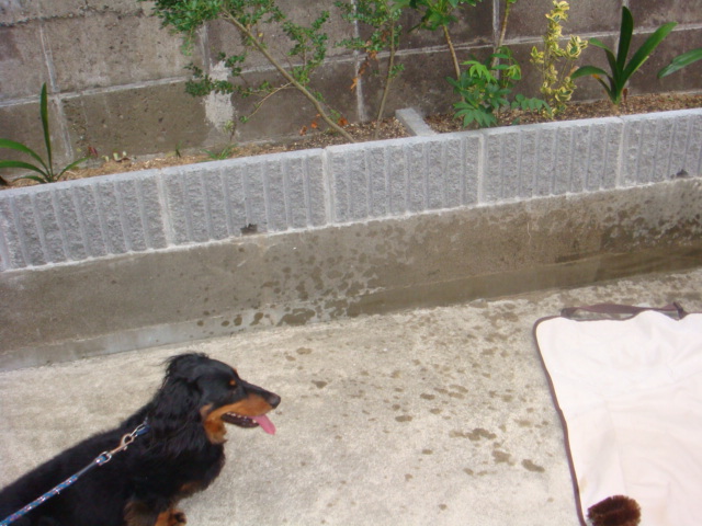 DSC01782.JPG