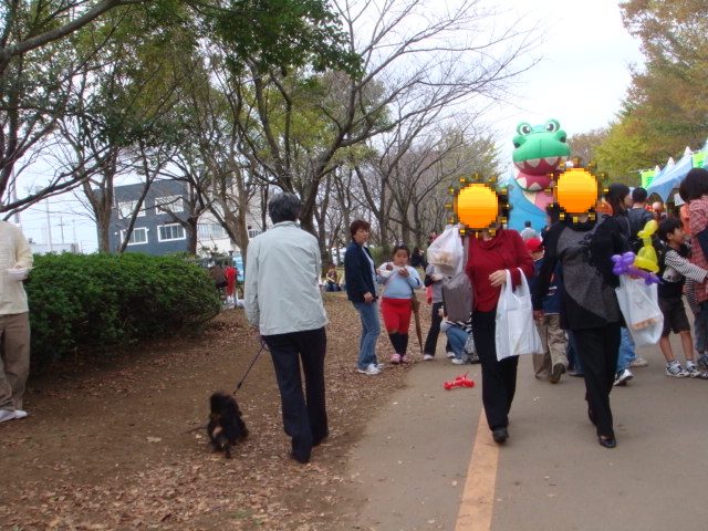 DSC02249.JPG