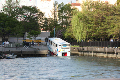 IMG_1929.jpg