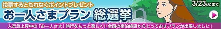 お一人様総選挙カスタマイズバナー.jpg