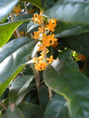 DSCN1147.JPG
