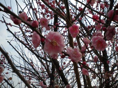 DSCN1848.JPG