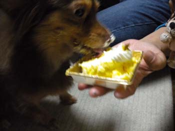 DSCN1466.JPG