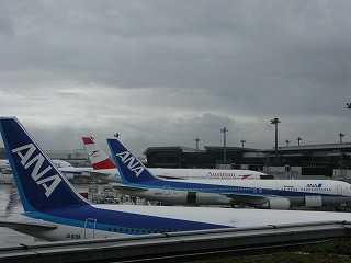 IMG_0603.jpg