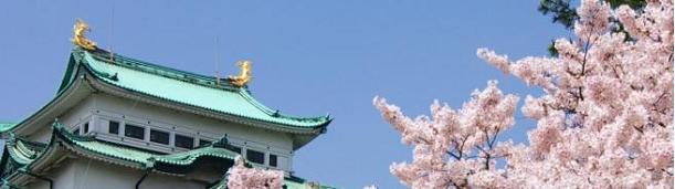 名古屋城 桜 ブログトップ.JPG