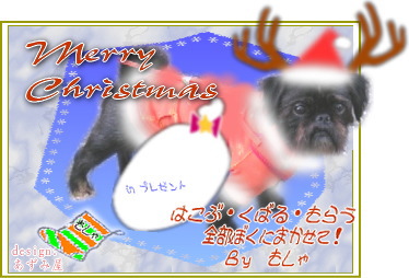 クリスマスもしゃ