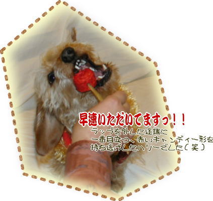 いただいてます!.