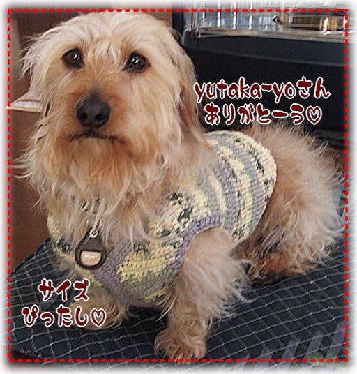 ぴったり、ベスト!