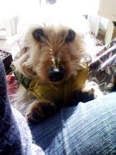 こちら、もうすぐ５歳？のハリーさん