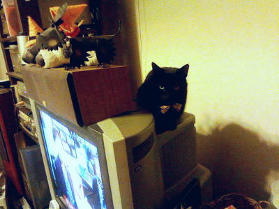 あったかいらしい