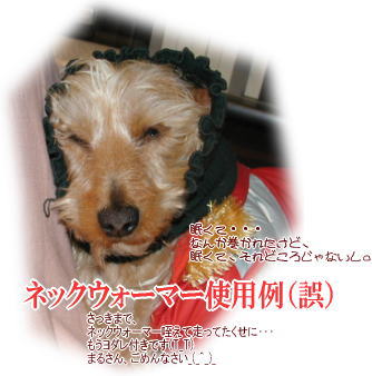 ハリー着用キリプレ