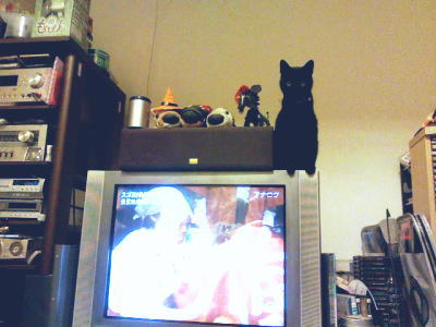 ちょこーーんｗ