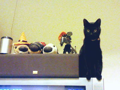 インテリア追加しましたー