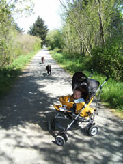 GallopingGoose1