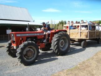 Hay Ride 3