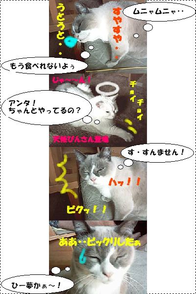 ネコマンガ18