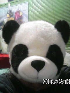 パンダ帽子