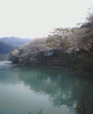 庄川水記念公園4　2005.4.19