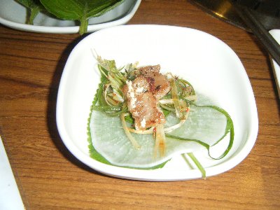 kogi2