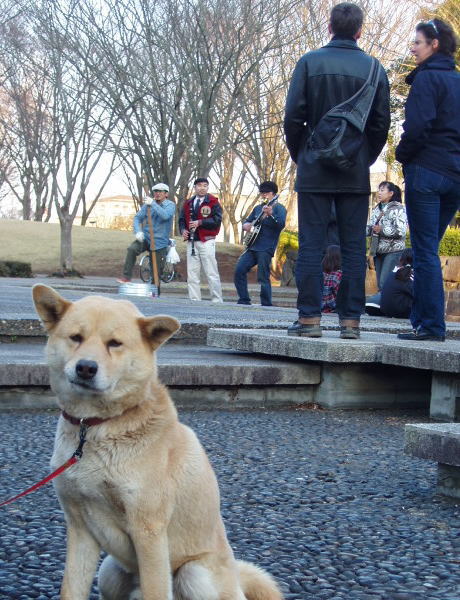 ジョーバンジョー