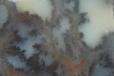 K-20060122-OPAL-COMMON-2