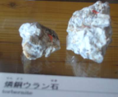 K-20070205-雪入-燐銅ウラン石.JPG