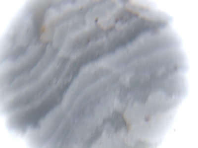 K-20051211-HIRAIWA-HOTARU-3