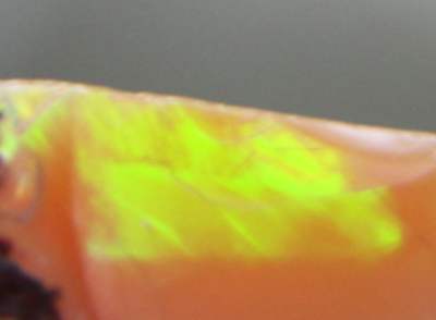 K-20050922-FIREOPAL-2