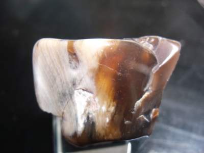 K-20051201-KEIKABOKU-1