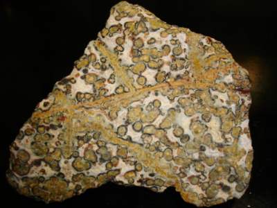 K-20051003-3-LEOPARDSKIN