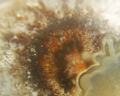 K-20060623-AGATE-CRAZY-2