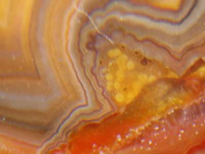 K-20051021-PLATE-AGATE-ART-2